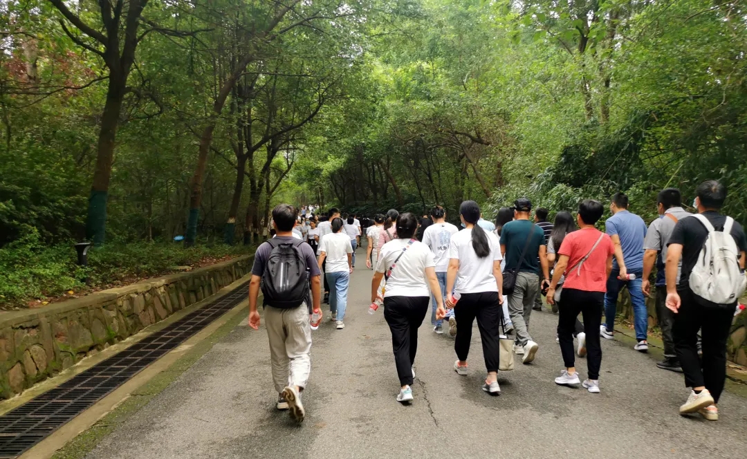 【动态】认真工作，快乐生活——HB火博科技六周年登山活动圆满落幕